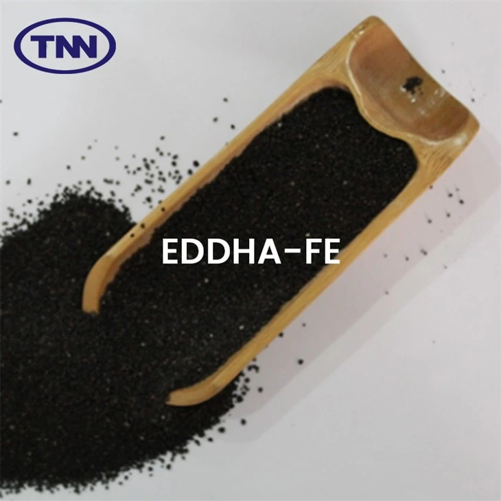 Eddha - fe