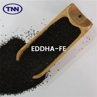 Eddha - fe